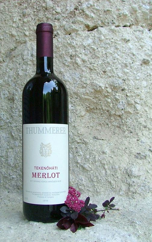 Tekenőháti Merlot